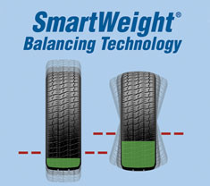 SmartWeight Logo